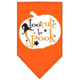 Load image into Gallery viewer, Halloween Pet and Dog Bandana Screen Printed, "Too Cute To Spook"
