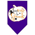 Load image into Gallery viewer, Halloween Pet and Dog Bandana Screen Printed, "Too Cute To Spook"