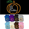 Load image into Gallery viewer, Halloween Pet Hoodie Screen Printed, "Lil Punkin"
