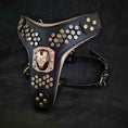 Load image into Gallery viewer, Irondog Harness Medium size