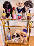 Load image into Gallery viewer, Yappy Hour Hydration Bundle for Dogs