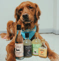 Load image into Gallery viewer, Fido's Handcrafted Coconut Dog Water