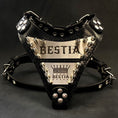 Load image into Gallery viewer, The "Metal" harness small to medium size - Personalized