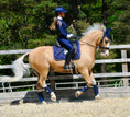Load image into Gallery viewer, Deep Sapphire Saddle Pad