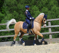 Load image into Gallery viewer, Deep Sapphire Saddle Pad