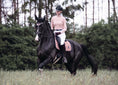 Load image into Gallery viewer, Rose Quartz Saddle Pad Set
