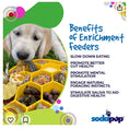 Load image into Gallery viewer, Honeycomb eBowl Deep Slow Feeder Dog Bowl for Enrichment | USA Made