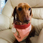 The Happy Days Scarf