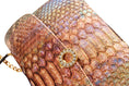 Load image into Gallery viewer, Iridescent Python Day To Night Bag