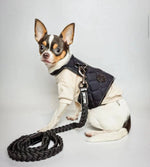 The Raven Dog Harness