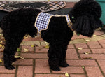 The Houndstooth Dog Harness