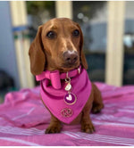 Leather Bow Collar (only) - Lipstick