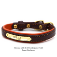 Load image into Gallery viewer, Padded Dog Collar - image 17