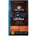 Load image into Gallery viewer, Wellness CORE Grain-Free High-Protein Large Breed Dry Dog Food (24lb)