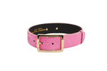 Luxury Pet Fashion Neon Pink Snake Collar With Our Modern Gold Hardware