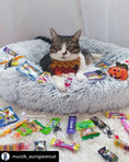 Load image into Gallery viewer, Mr. Peanut's 28" OrthoPlush® Pet Bed - Snowflake White Two Tone