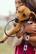 Load image into Gallery viewer, White and Blue Polo Dog Leash