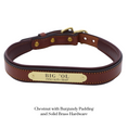 Load image into Gallery viewer, Padded Dog Collar - image 26