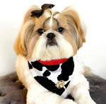 The Jessie Scarf - No.1