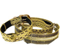 Load image into Gallery viewer, Luxury Pet Fashion Soft Yellow & Black Snakeskin Collar & Leash Set With Our Swarovski Crystal Hardware.