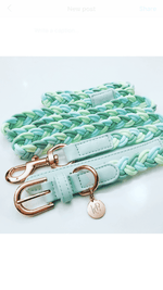 Dog Collar Aquamarine Plaited