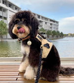 The Coco Dog Harness (Bone)