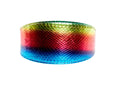 Load image into Gallery viewer, Pride Collection. Rainbow Snake 3” Wide Style Collar
