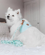 The Aquamarine Dog Harness