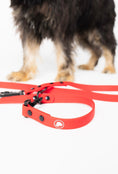 Load image into Gallery viewer, Ruby Red Adjustable Leash by The Modern Dog Company, featuring a sleek design with a clip and logo, set against a dog's paws.