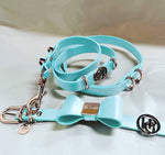 Leather Dog Lead (only) - Aquamarine