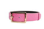 Luxury Pet Fashion Neon Pink Snake Collar With Our Modern Gold Hardware
