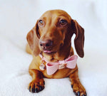 Leather Bow Collar - Peony