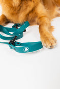 Load image into Gallery viewer, The Modern Dog Company - Forest Green Adjustable Leash