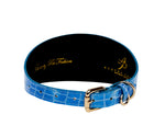 Blue Patent Embossed Croc Italian Leather Collar With Large Gold Custom Rivet