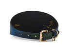 Blue, Green, Black, Yellow Snake 3” Wide Style Collar