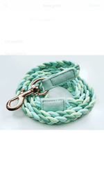 Dog Lead Aquamarine Plaited