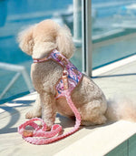 The Lady Dog Harness
