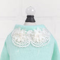 Load image into Gallery viewer, Sweet Magnolia Dog Sweater