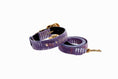 Load image into Gallery viewer, Luxury Pet Fashion Purple/Silver Multi-Tone Snakeskin Collar & Leash Set With Our Swarovski Crystal Hardware