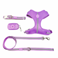Load image into Gallery viewer, Shine Bright - Amethyst Adjustable Harness