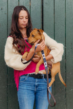 White and Blue Polo Dog Leash