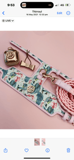 The Hummingbird Dog Harness