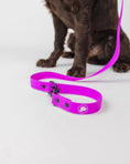 Load image into Gallery viewer, Electric fuchsia dog leash by The Modern Dog Company, weather and odor resistant, with a sturdy clip and logo detail.