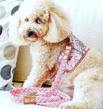 The Lady Dog Harness