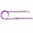 Load image into Gallery viewer, Shine Bright - Amethyst Leash