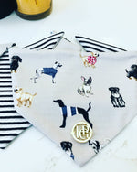 The Pups United Scarf