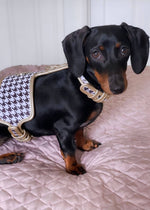 The Houndstooth Dog Harness