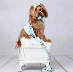 Leather Bow Collar (only) - Aquamarine