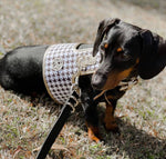 The Houndstooth Dog Harness