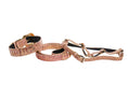 Load image into Gallery viewer, Embossed Snake Italian Leather/Swarovski Crystal Buckle Collar, Leash, Harness Set by Allysa Payne Beverly Hills